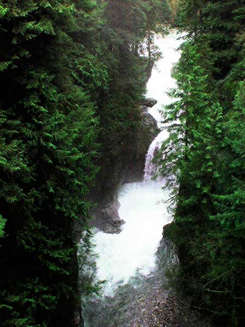 Lynn Canyon