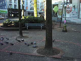 Pigeon Park