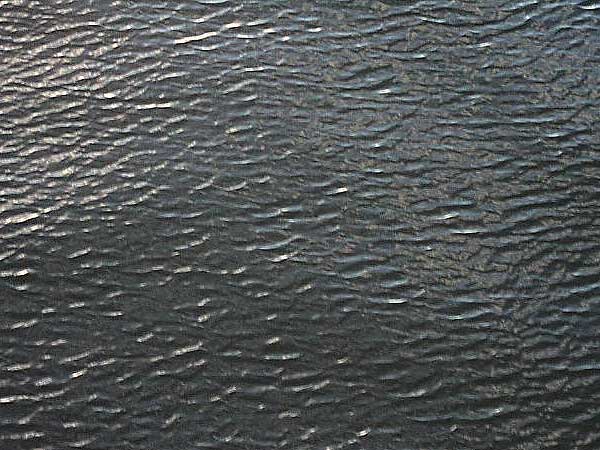 © 2002 Michael R. Barrick