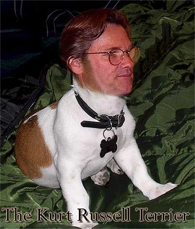 The Kurt Russell Terrier