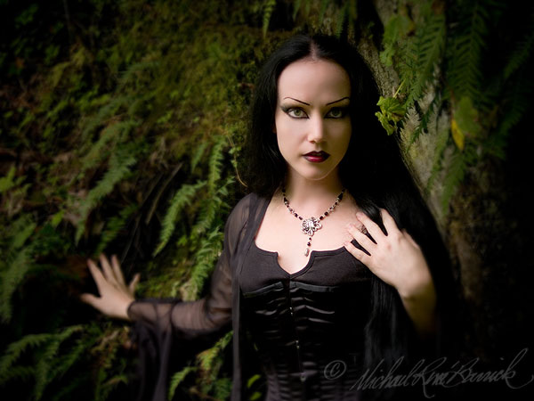 Among the Ferns