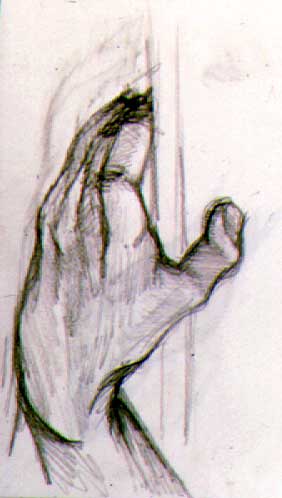 Hand Study