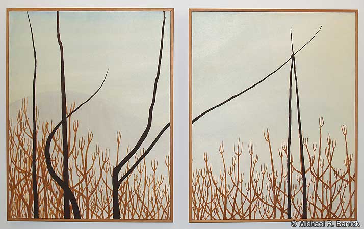 Forest #3 (Strange Attractors)