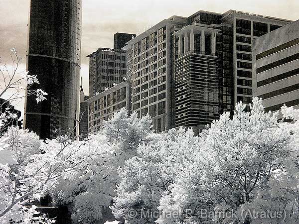 City of the Future #27