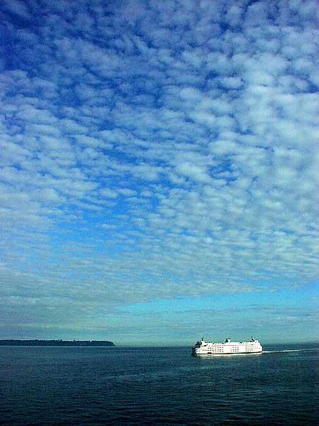Ferry