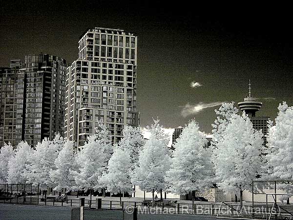 City of the Future #43
