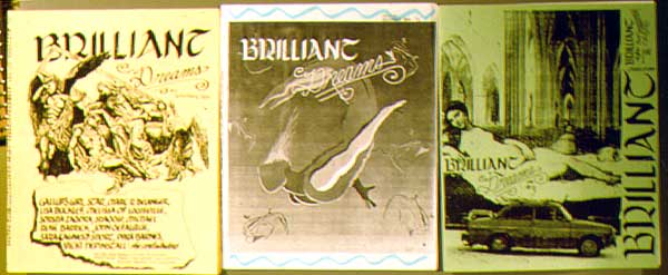 'Brilliant Dreams' covers