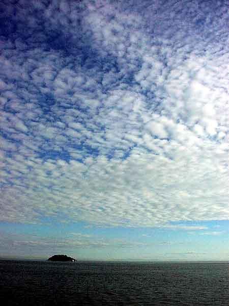 The Man Who Loved Islands