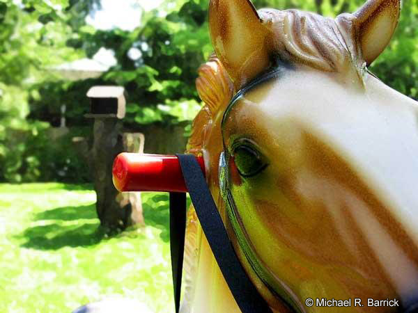 Horses 1